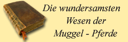 Die Wundersamsten Wesen der Muggel - Pferde
