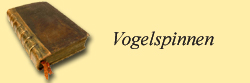 Vogelspinnen