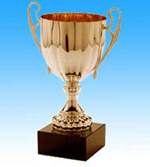 Goldener Schülerpokal
