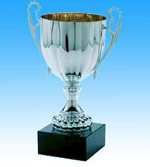 Silberner Schülerpokal