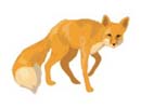 Fuchs